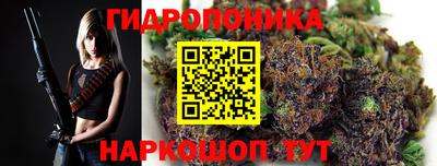 гидропоника Кинель